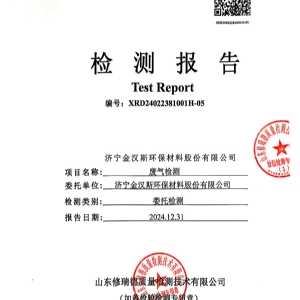 檢測(cè)報(bào)告（2024.12.31）